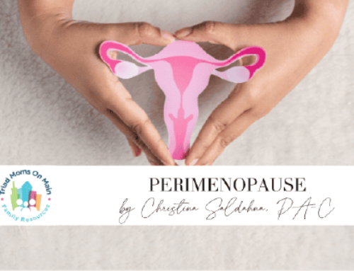 Triad Moms on Main Guest Blog on Perimenopause